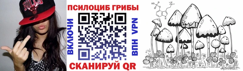 где продают наркотики Сертолово Псилоцибиновые грибы мицелий